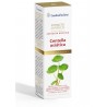 E.L Centella Asiatica 100 Ml