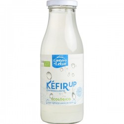 Kefir Up 500ml