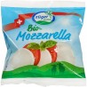 Queso Mozzarella Bio 100 Gr