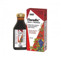 Floradix 250ml