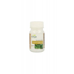 Maca Comprimidos 500mg 100u.