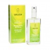 Desodorante Citrico Spray 100ml