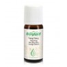 Aceite Essential Ylang Ylang 10ml