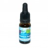 Aceite Esencial Lavanda 10ml