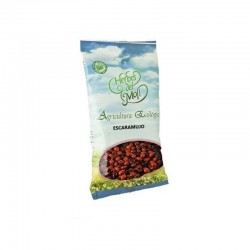 Escaramujo Frutos Eco 110 Gr