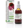 Echinacea Xxl Extracto 50ml