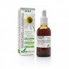 Extracto de Manzanilla Amarga 50ml