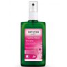 Desodorante Rosa Mosqueta Spray 100ml