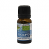 Aceite Esencial Eucalipto Bio 10 Ml