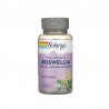 Boswellia 450mg 60 Vegcaps