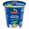 Bioyogurt Vainilla 150 Gr