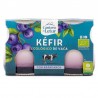 Kefir de Vaca con Arandanos 2x125 Gr Bio