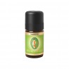 Aceite Esencial de Jengibre 5 Ml