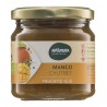 Mango Chutney 225gr