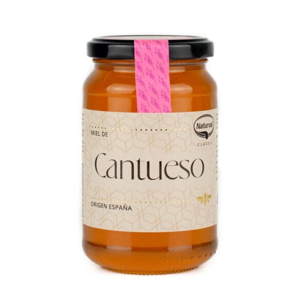 MIEL DE CANTAUESO 475GR