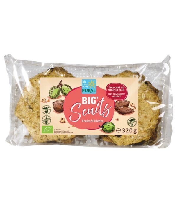 BIG SCUITS CON FRUTA 320 GR